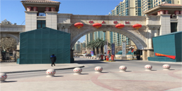 天津恒大綠洲小區安防系統